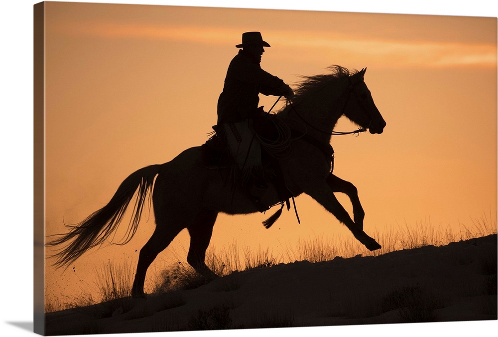Horse drive in winter on Hideout Ranch, Shell, Wyoming. Cowboy riding his horse silhouetted at sunset. (MR)