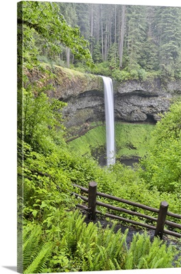 Silver Falls State Park, Oregon, South Falls And Trail Leading To It