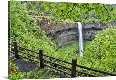 Silver Falls State Park, Oregon, South Falls And Trail Leading To It
