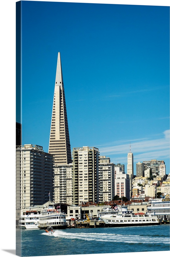 United States, California, San Francisco. Skyline with Transamerica building prominent.
