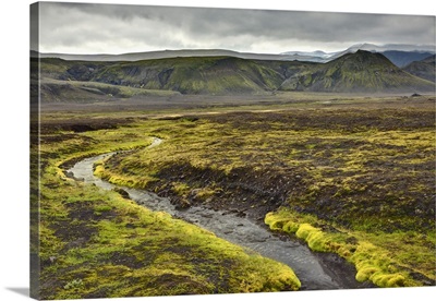Small stream and moss, Iceland