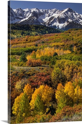 Sneffels Range, Mount Sneffels Wilderness, Uncompahgre National Forest, Colorado
