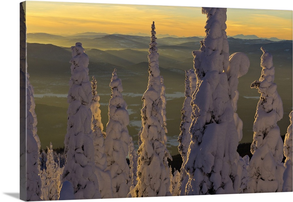 Snowghosts at sunset looking west to the Salish Mountains from the summit of Big Mountain in Whitefish, Montana, USA