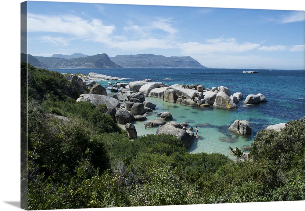 South Africa, Cape Town, Simon's Town, Boulders Beach. African penguin colony (Spheniscus demersus).