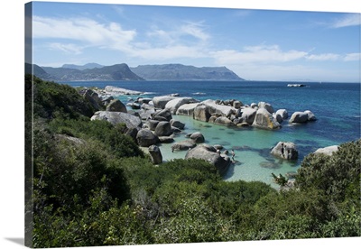 South Africa, Cape Town, Simon's Town, Boulders Beach