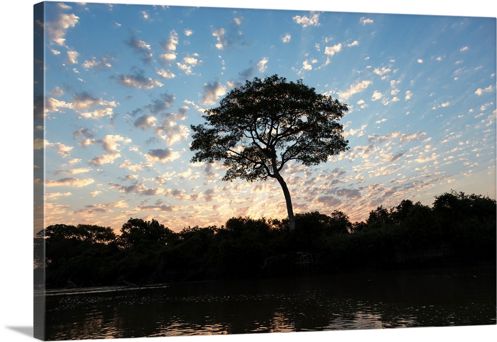 South America, Brazil, The Pantanal, Rio Negro. Fluffy clouds dot the sky at sunset over the Rio Negro.