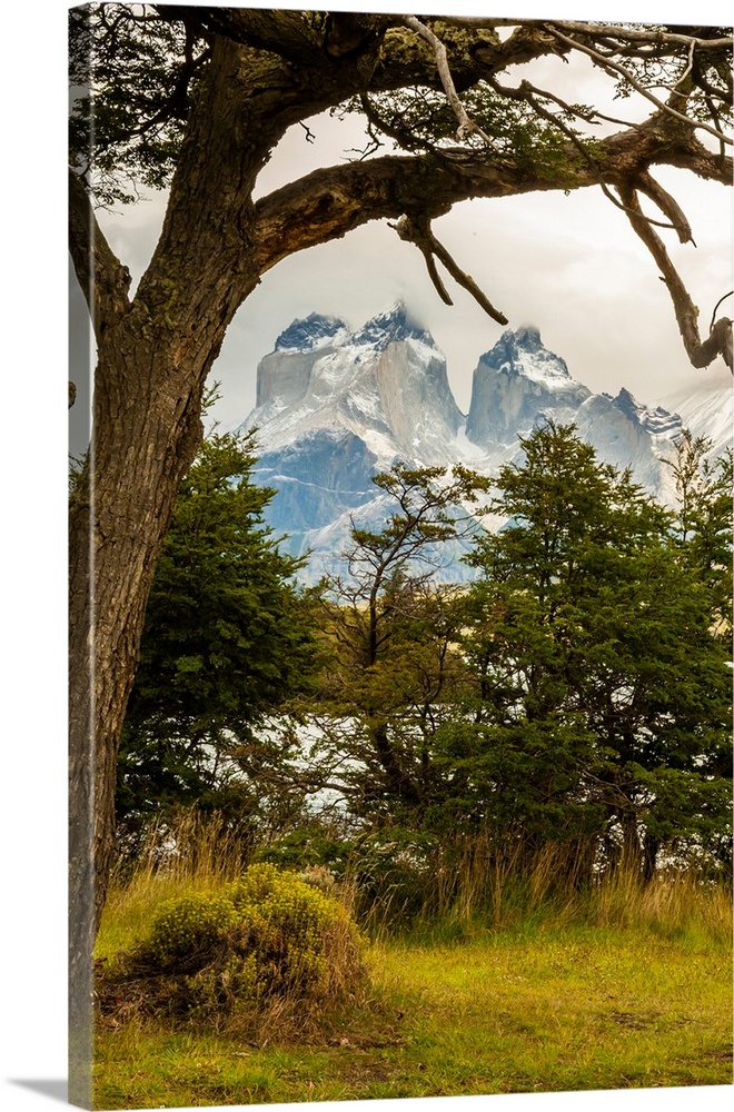 South America, Chile, Patagonia. Lake Pehoe and The Horns mountains.