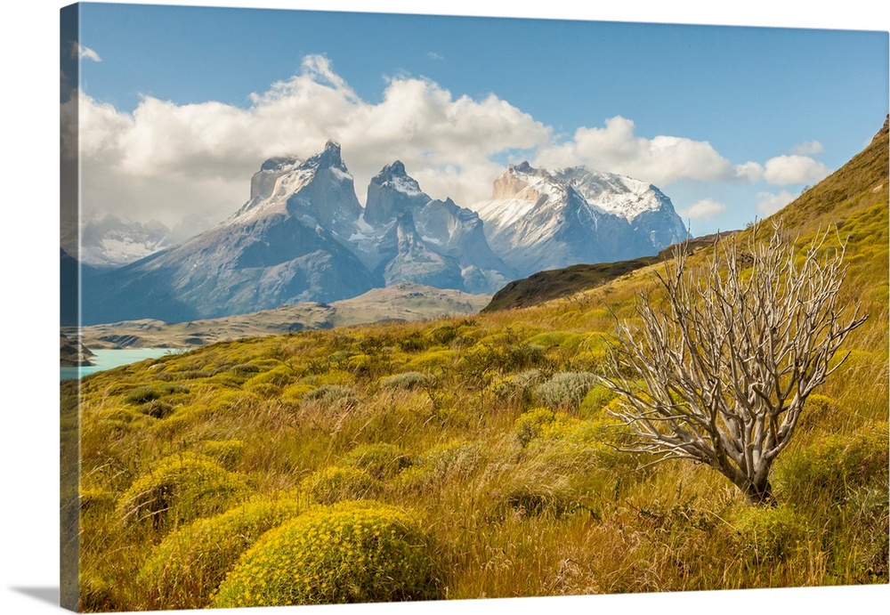 South America, Chile, Patagonia. Lake Pehoe and The Horns mountains.