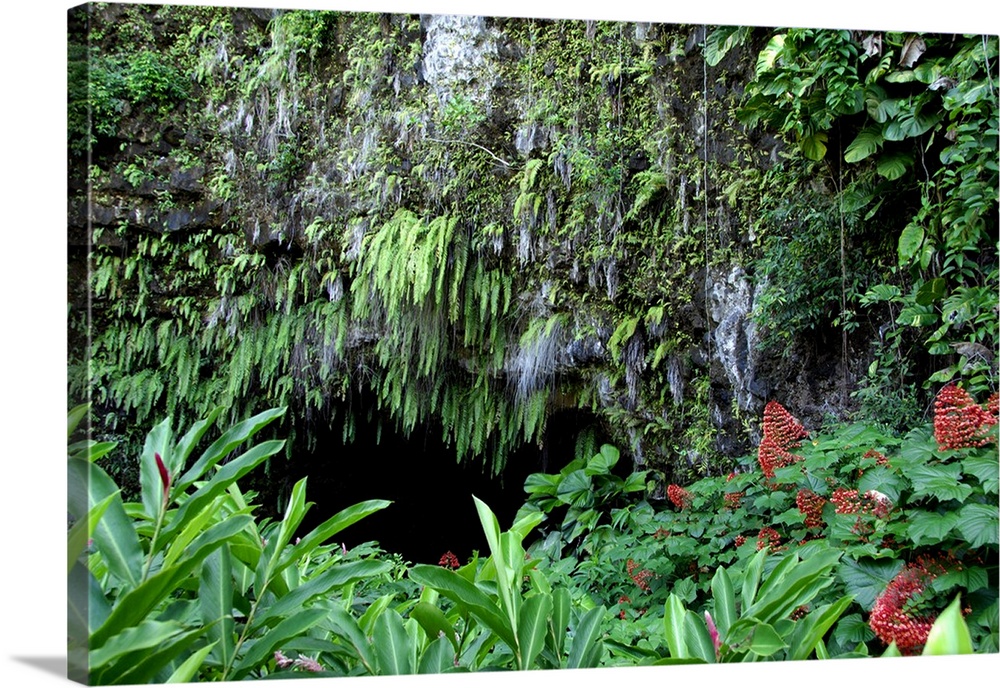 South Pacific, French Polynesia, Tahiti. Maraa Cave (aka Grotte de Maraa) fern grotto and lava tube cave.