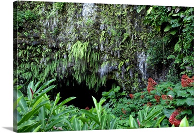 South Pacific, French Polynesia, Tahiti, Maraa Cave, fern grotto and lava tube cave