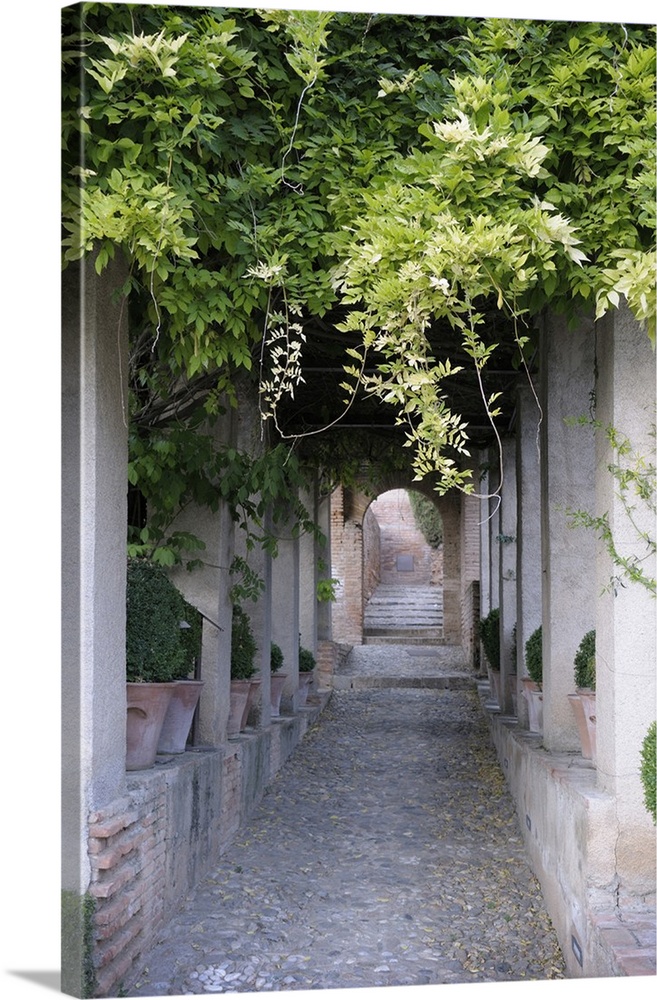 Spain, Andalusia, Granada. Lower Gardens, The Alhambra.
