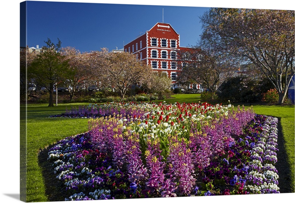 Spring flowers and historic Crown Mills Building, Dunedin, Otago, South Island, New Zealand.