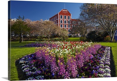 Spring flowers and historic Crown Mills Building, Dunedin, New Zealand