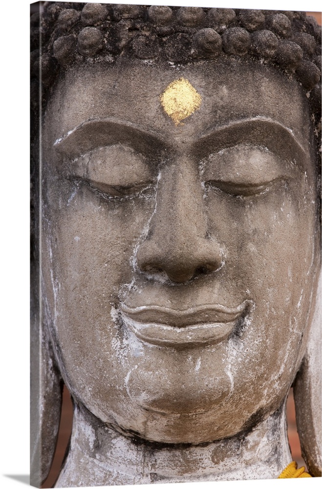 Statue face at the Ayutthaya Historical Park, Thailand