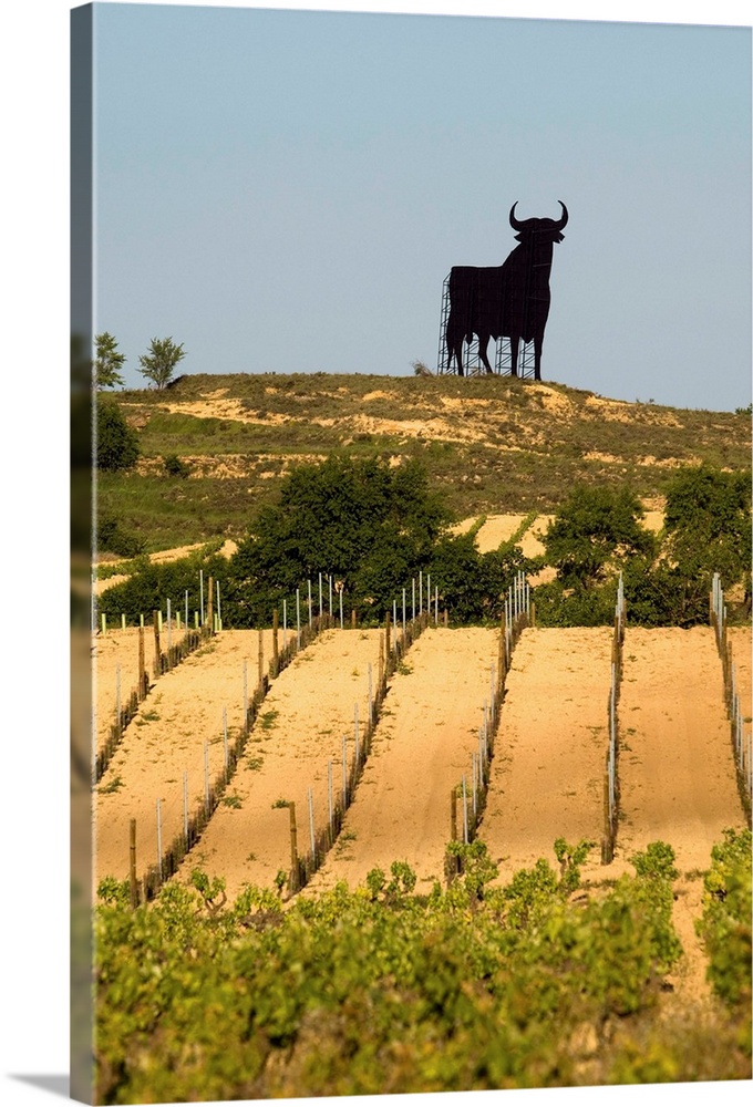Statue of black bull on ridge above vineyards in the Briones area in La Rioja region of northern Spain.