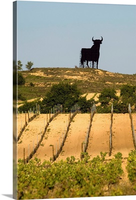 Statue Of Black Bull On Ridge Above Vineyards In The Briones Area, Spain