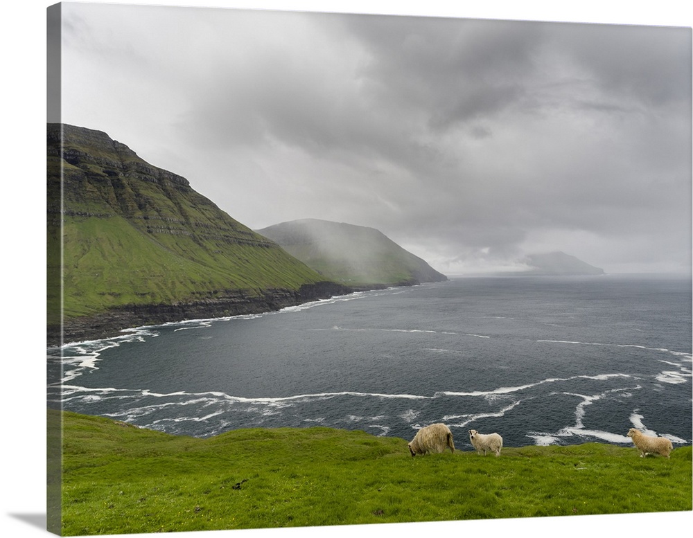 The west coast at Nordradalur. The island Streymoy, one of the two large islands of the Faroe Islands in the North Atlanti...