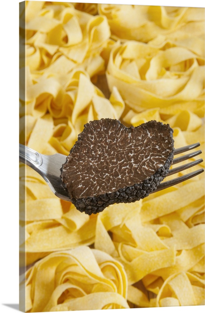 Summer black truffle (Tuber aestivum) on a fork with pasta background.