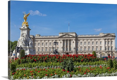 Summer Flowers In Front Of Buckingham Palace In London, United Kingdom