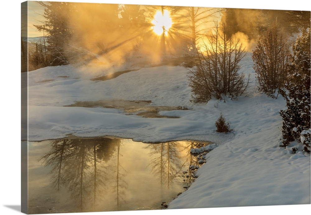 Sunrise greets Grassy Spring at Mammoth Hot Springs in Yellowstone National Park, Wyoming, USA