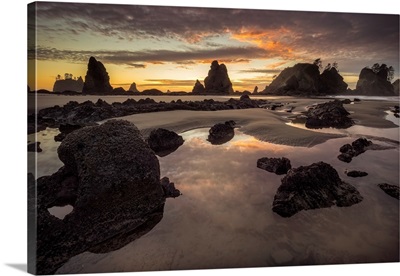 Sunrise On Coast Beach And Rocks, Washington State, Olympic National Park