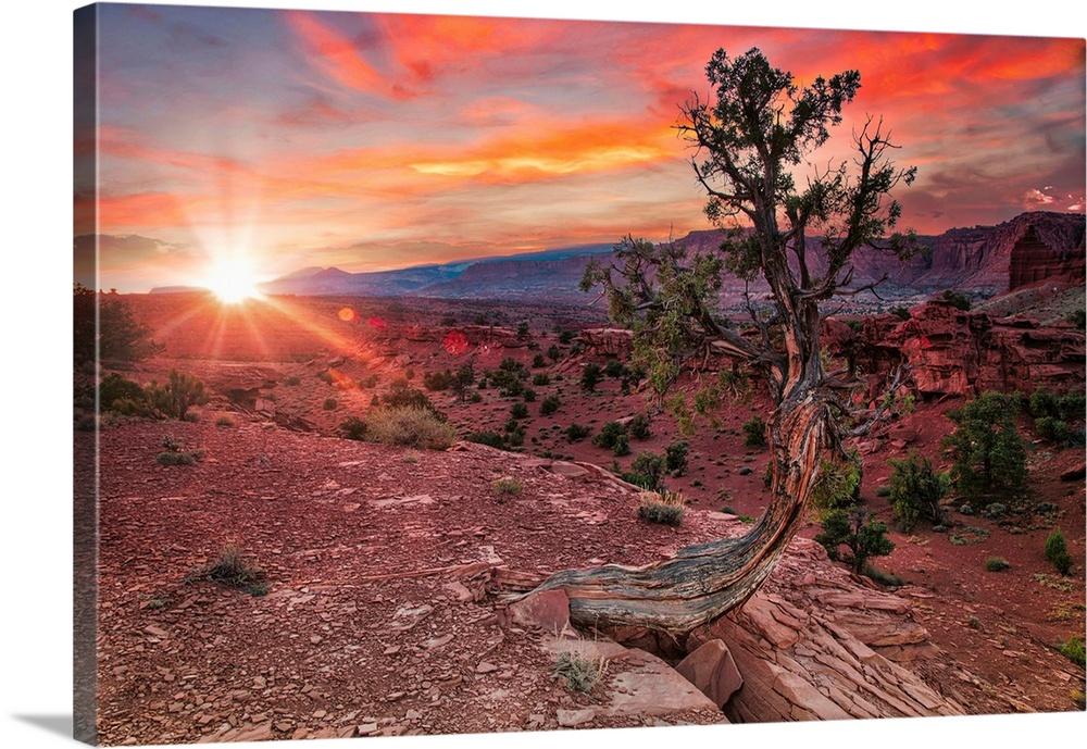 Sunset in Capitol Reef National Park.