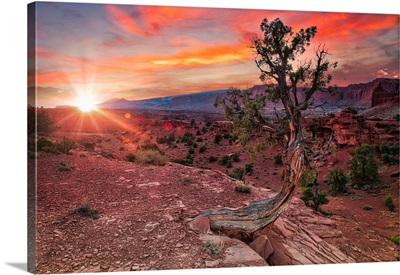 Sunset In Capitol Reef National Park