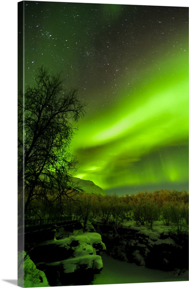 Sweden, Norrbotten, Abisko. Aurora Borealis (Northern Lights) over Abisko Canyon.