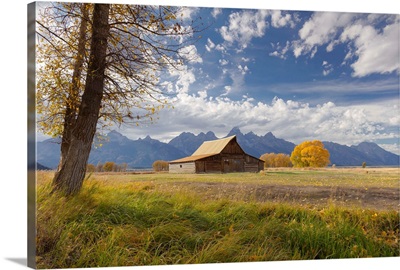 T.A. Moulton Barn, Mormon Row, Grand Teton National Park, Wyoming, USA