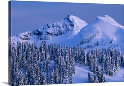 Tatoosh Range and snow covered trees