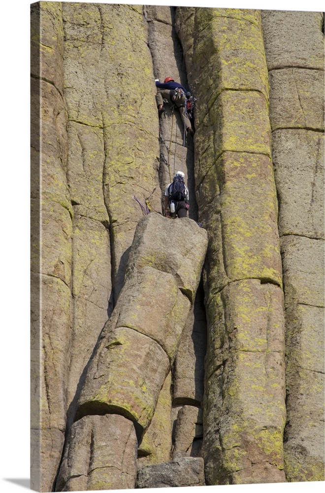 Devils Tower National Monument, Wyoming, North America, USA.  Technical Rock Climbers, on the Durrance Route, Climbing Dev...