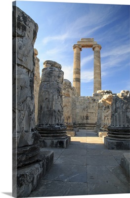 Temple Of Apollo In Didyma, Turkey