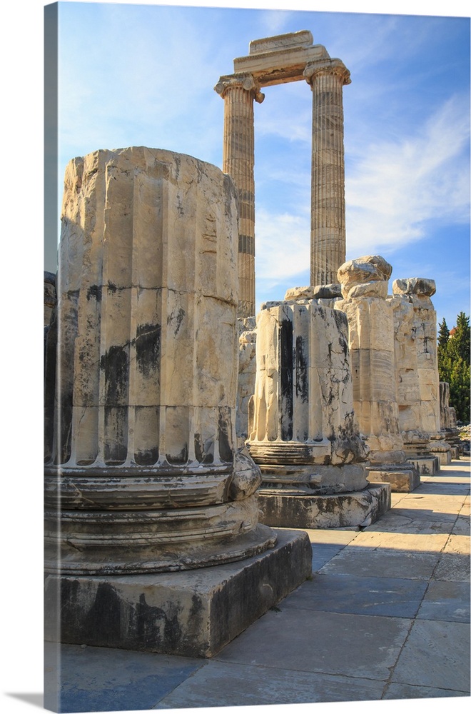Turkey, west coast, Didyma, a sacred site of the ancient world. Its Temple of Apollo ,oracle,attracted crowds of pilgrims.