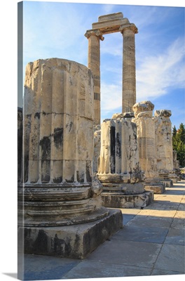 Temple Of Apollo In Didyma, Turkey