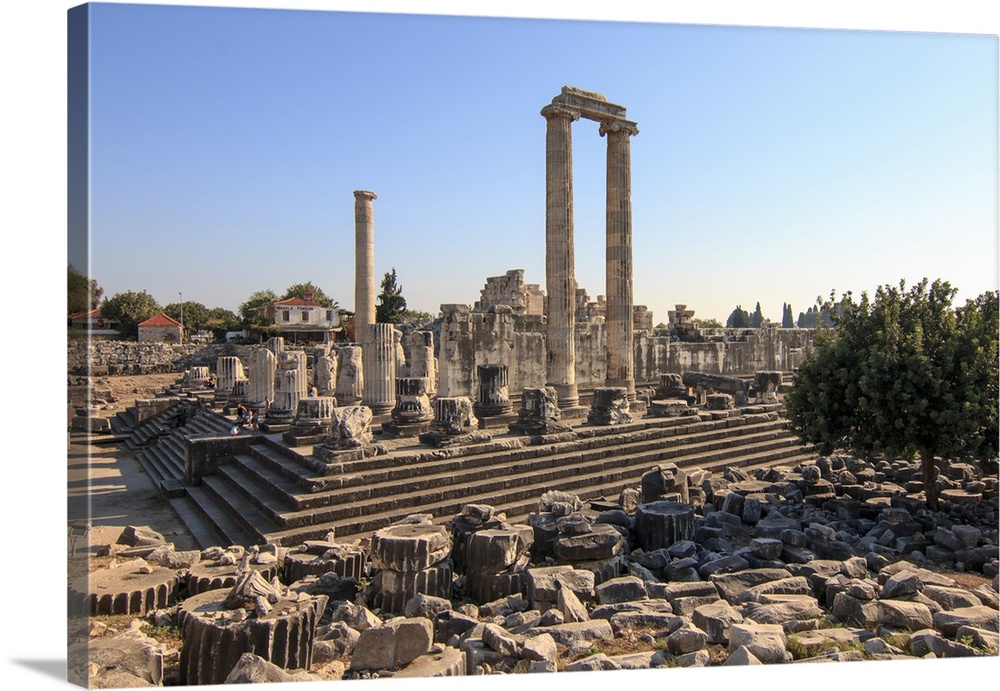 Turkey, west coast, Didyma, a sacred site of the ancient world. Its Temple of Apollo ,oracle,attracted crowds of pilgrims.