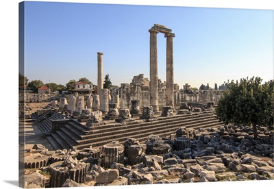 Temple Of Apollo In Didyma, Turkey