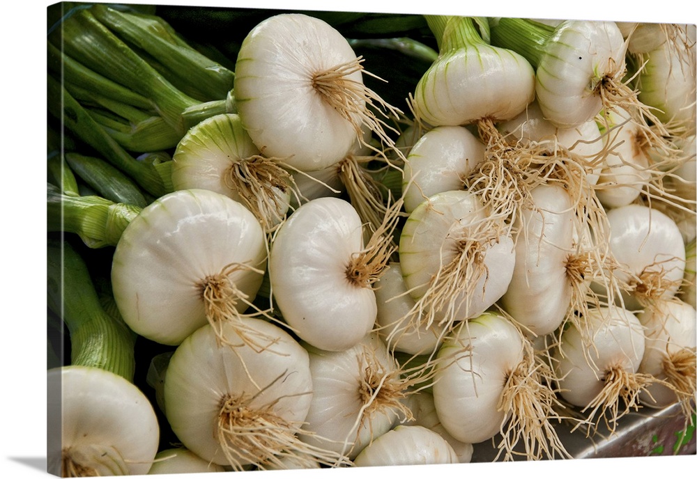 Tender Green onions are perfection at this farmers' market in the French village of Louhans. Europe, France.