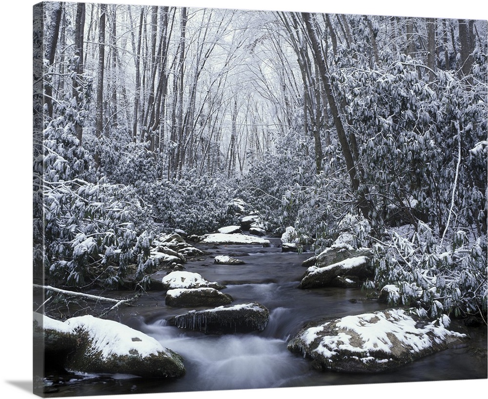 Tennessee, Great Smokey Mountains National Park, Cosby creek in winter.