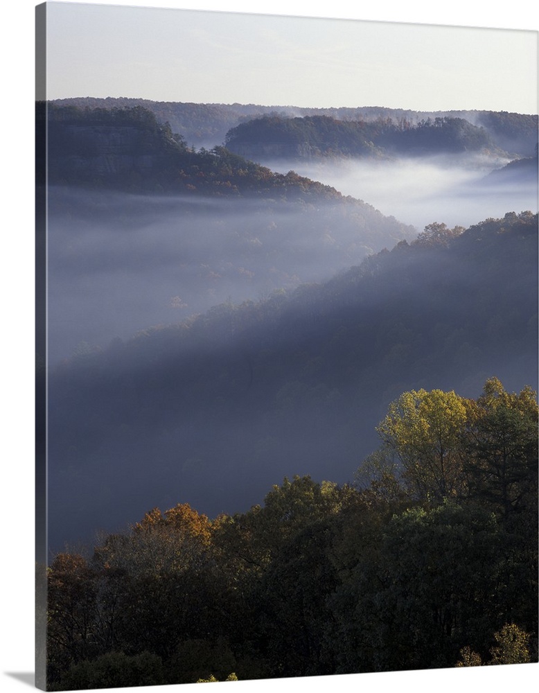 N.A., USA, Tennessee. Great Smokey Mountains National Park. Foggy ridges of Red River Gorge Geological area at sunrise (Me...