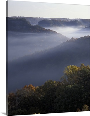 Tennessee. Great Smokey Mountains NP, Foggy ridges