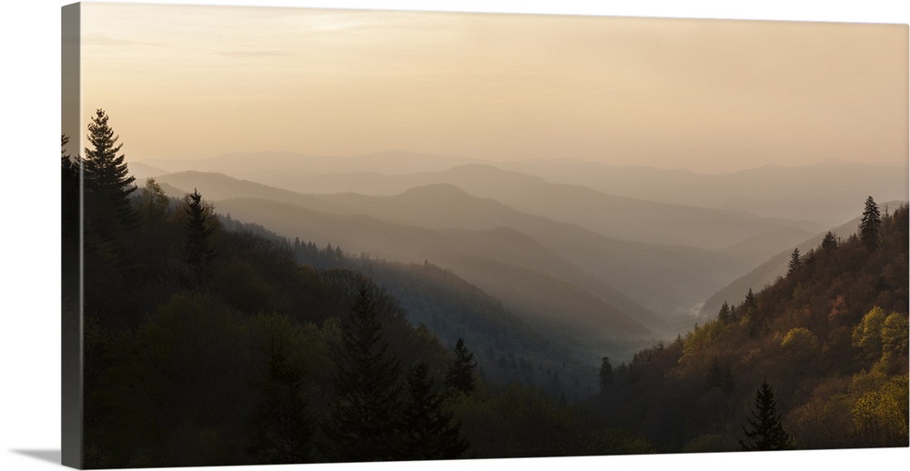 USA, Tennessee, Great Smoky Mountains National Park. Sunrise on mountain ridge lines.
