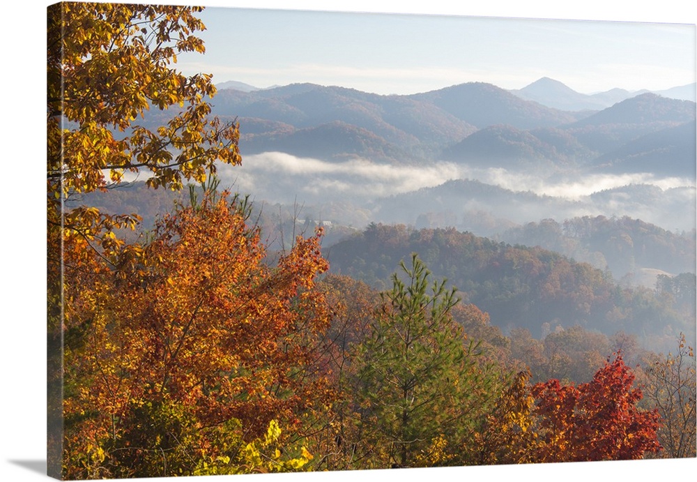 US, TN. Morning light Fog in valleys Smoky Mountain NP viewed from Foothills Parkway