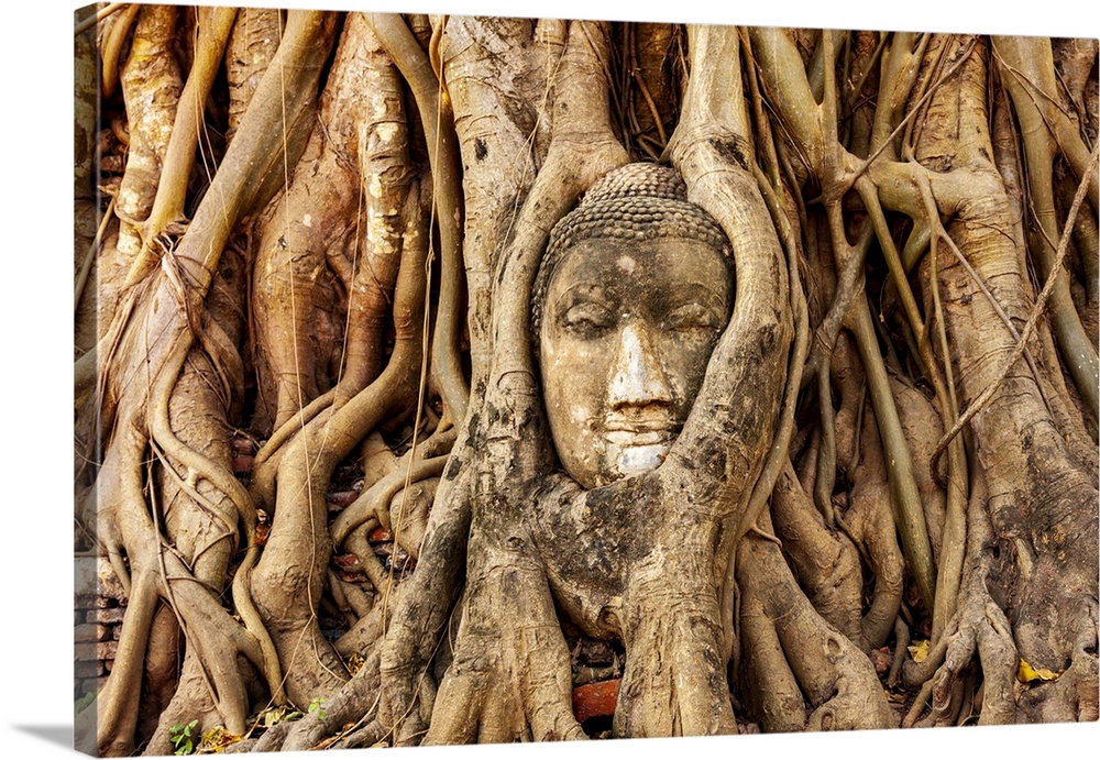 Thailand, Ayutthaya, Wat Mahathat, Buddha Head Engulfed In Tree Roots