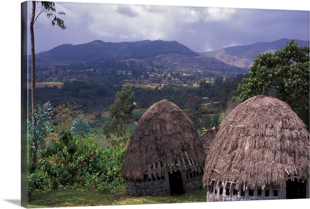 Africa, Ethiopia. Thatch huts of the Dorze tribe overlook the mountainous area of southern Ethiopia.