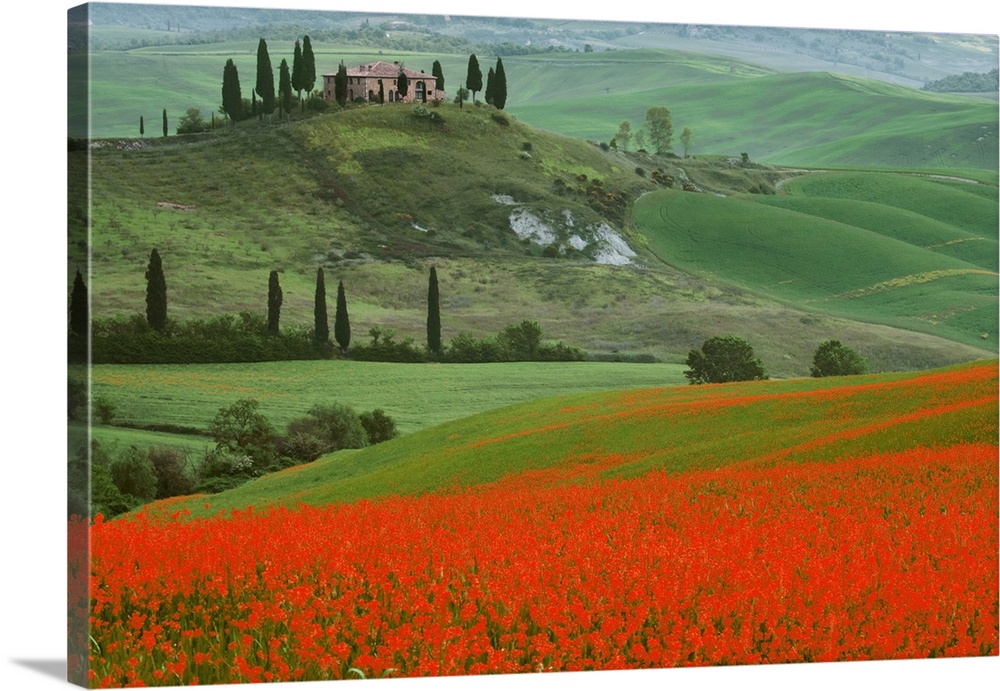 Europe, Italy, Tuscany. The Belvedere villa landmark and farmland. Credit: Dennis Flaherty