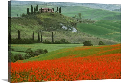 The Belvedere Villa Landmark And Farmland, Europe, Italy, Tuscany