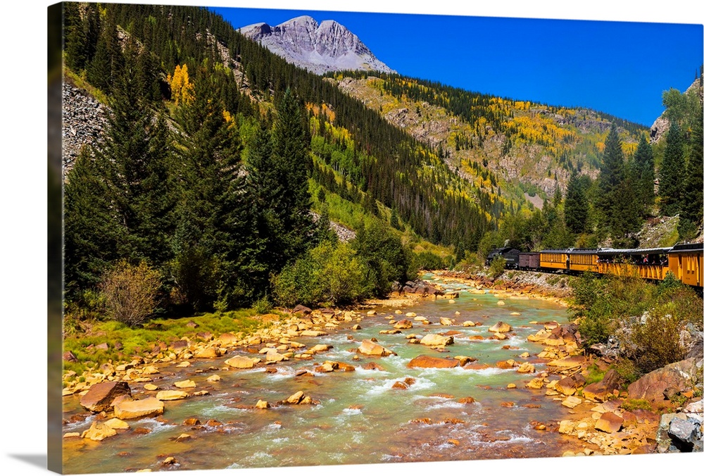The Durango & Silverton Narrow Gauge Railroad on the Animas River, San Juan National Forest, Colorado USA