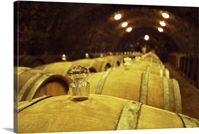 The Kiralyudvar winery in Tarcal: rows of barrels with Tokaj wine aging, France