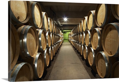 The modern barrel aging cellar, France