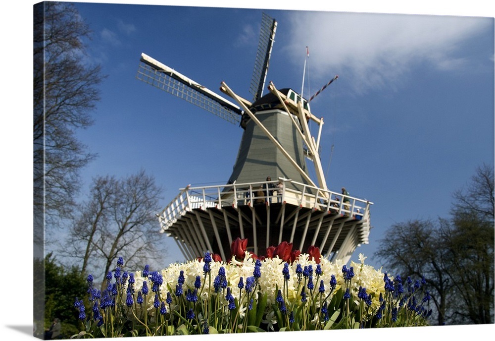 The Netherlands. Keukenhof Gardens, Keukenhof Windmill Wall Art, Canvas